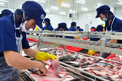 Xuất khẩu sang Hoa Kỳ: DN sẽ gặp nhiều khó khăn